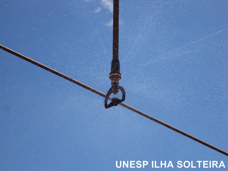 aula_cerrado_12marc2012 (27).JPG